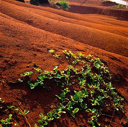 《寂静岭2：重制版》深藏彩蛋致敬konami字体错误